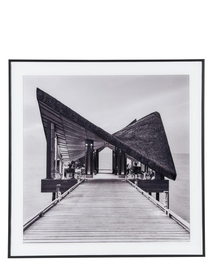 תמונה שחור לבן - צילום אומנותי - האחוזה 50X50CM